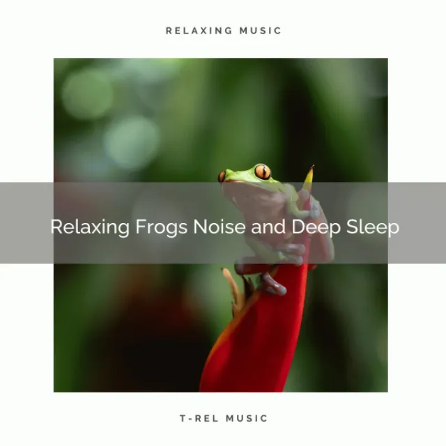 Flowing Frogs Background and Deep Sleep