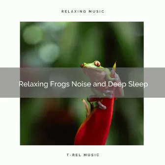 2020 Best: Relaxing Frogs Noise and Deep Sleep by JBE Nature Sounds