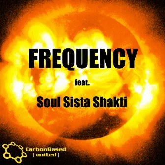 Frequency (Feat. Soul Sista Shakti) by Soul Sista Shakti