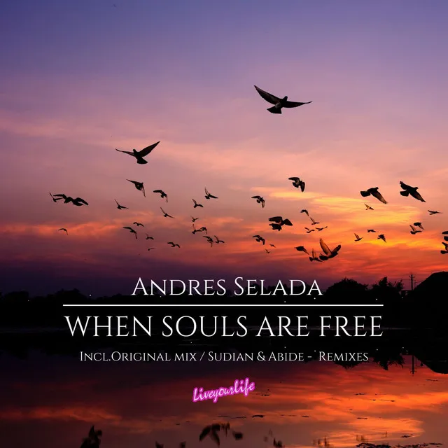 When Souls Are Free - Sudian Remix