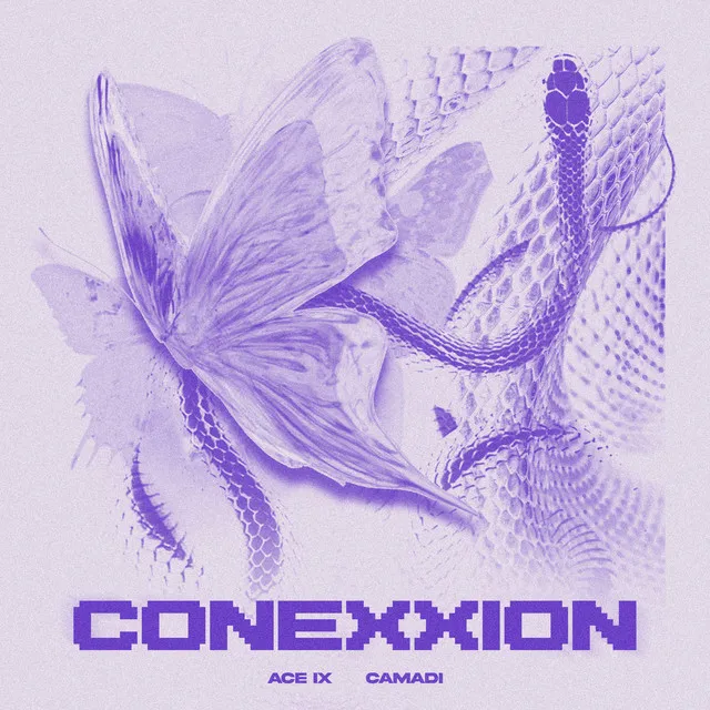 Conexxion