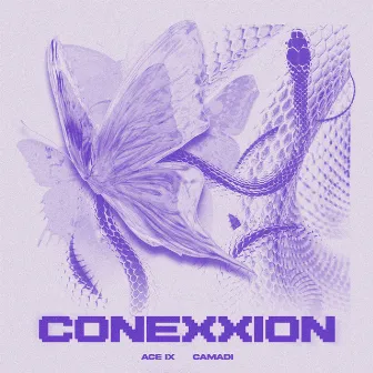 Conexxion by Camadi