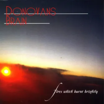 Fires Which Burnt Brightly by Donovan's Brain