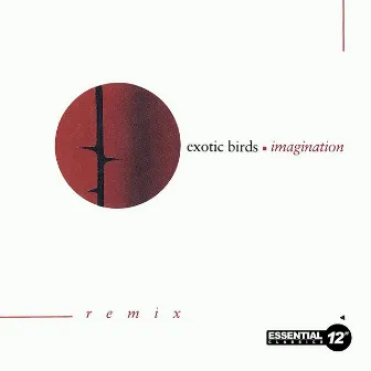 Imagination (Remix) by Exotic Birds