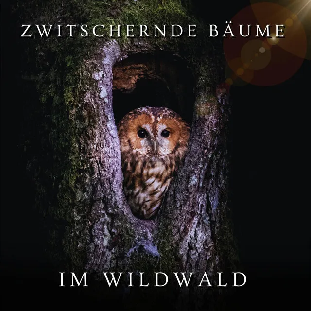 Zwitschernde Bäume im Wildwald