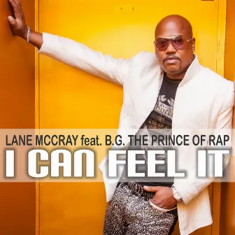 I Can Feel It by Lane McCray