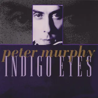 Indigo Eyes by Peter Murphy