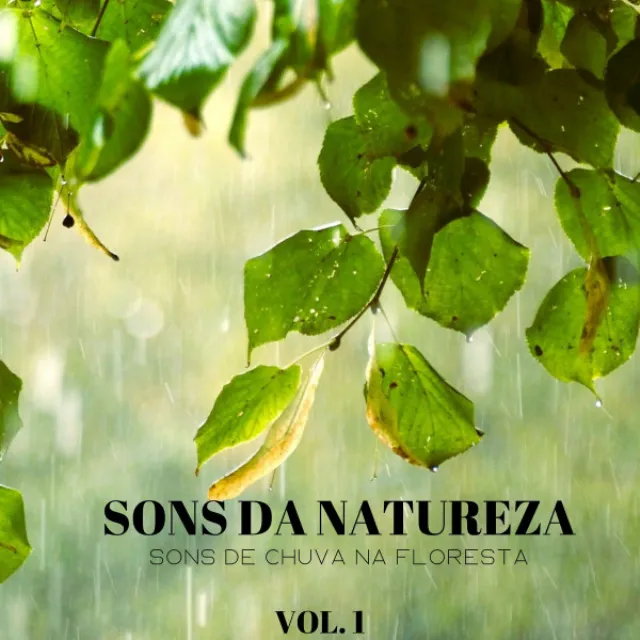 Sons Da Natureza: Sons De Chuva Na Floresta Vol. 1