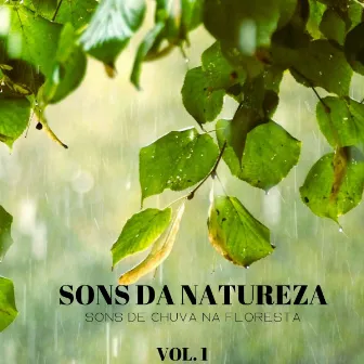 Sons Da Natureza: Sons De Chuva Na Floresta Vol. 1 by 1 Hora de Meditação