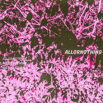 ALLORNOTHING by YL Cootie