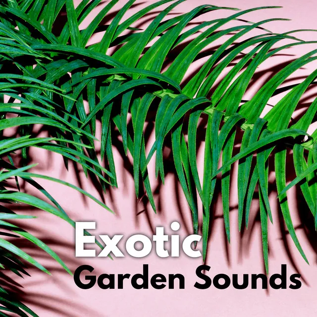 Exotic Garden Sounds – Hypnotizing Flora and Fauna Melodies for Relax, Study, Meditation or Sleep