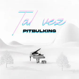 Tal vez by Pitbulking