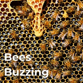 Bees Buzzing by Earthly Sounds