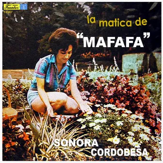 La Matica de Mafafa by La Sonora Cordobesa