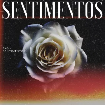 SENTIMENTOS by mt yzak