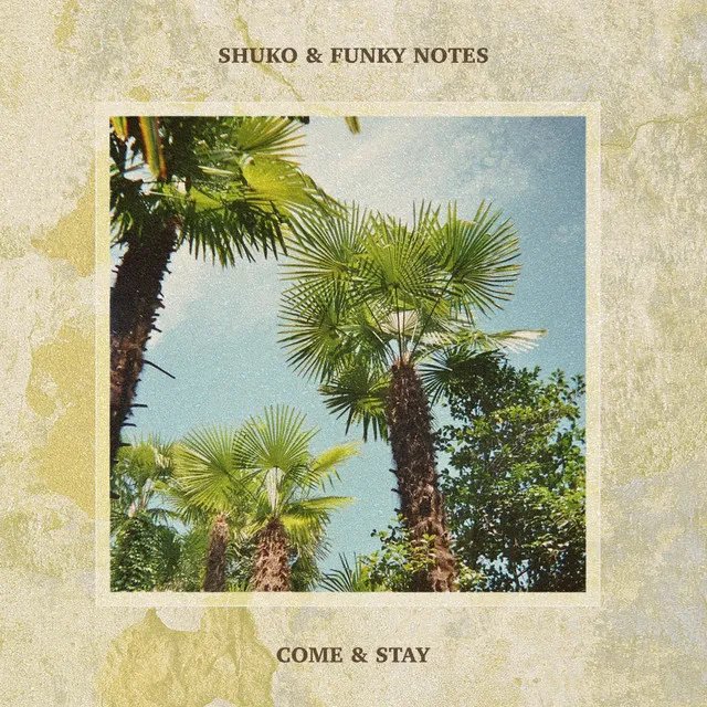 Come & Stay