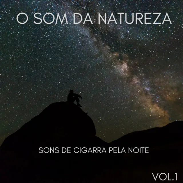 O Som Da Natureza: Sons De Cigarra Pela Noite Vol.1