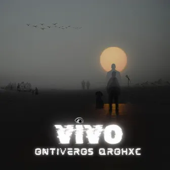 Vivo by ontiveros qrohxc