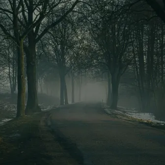 Night road in a dark forest by Healing