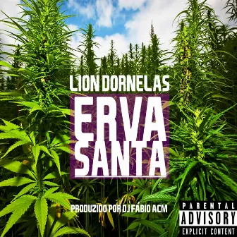 Erva Santa by Lion Dornelas