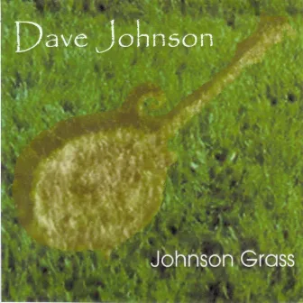 Johnson Grass by David Johnson