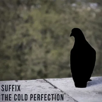 The Cold Perfection by Suffix