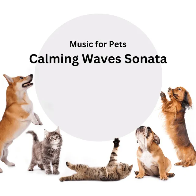 Music for Pets Beachside Bliss