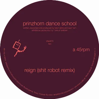 Reign (Shit Robot Remix) by Prinzhorn Dance School