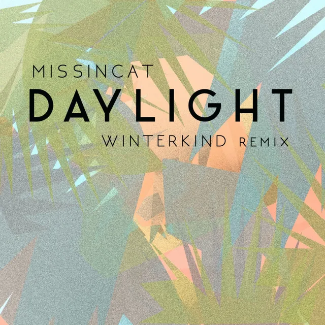 Daylight - Winterkind Radio Remix