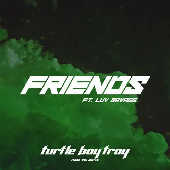 Friends by Turtle Boy Troy