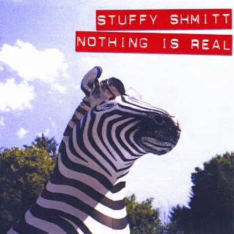 Nothing Is Real by Stuffy Shmitt