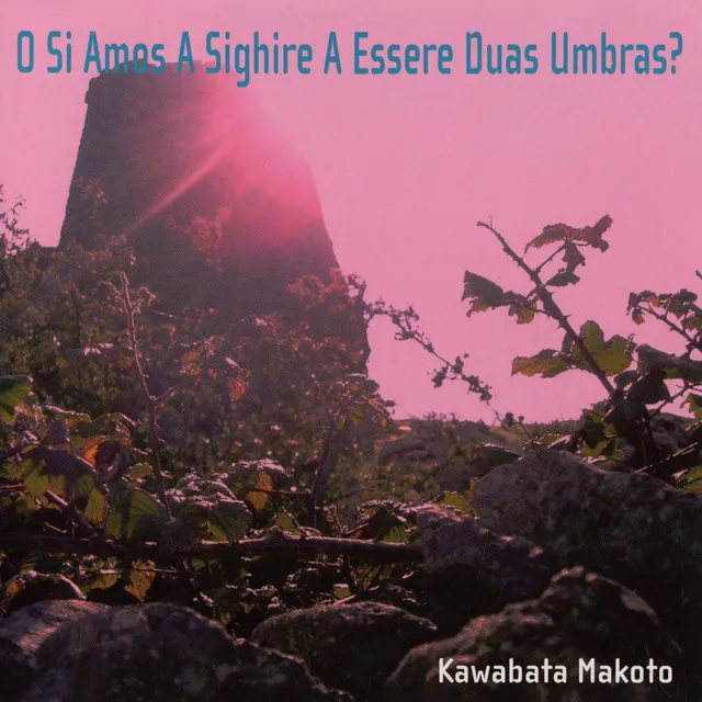 O Si Amos a Sighire a Essere Duas Umbras?