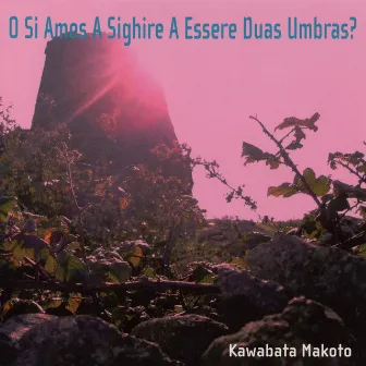 O Si Amos a Sighire a Essere Duas Umbras? by Kawabata Makoto