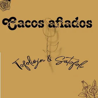 Cacos Afiados by Tofolizin