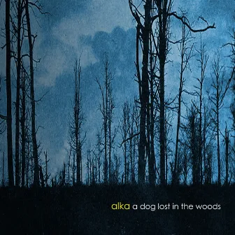 A Dog Lost In The Woods by Alka