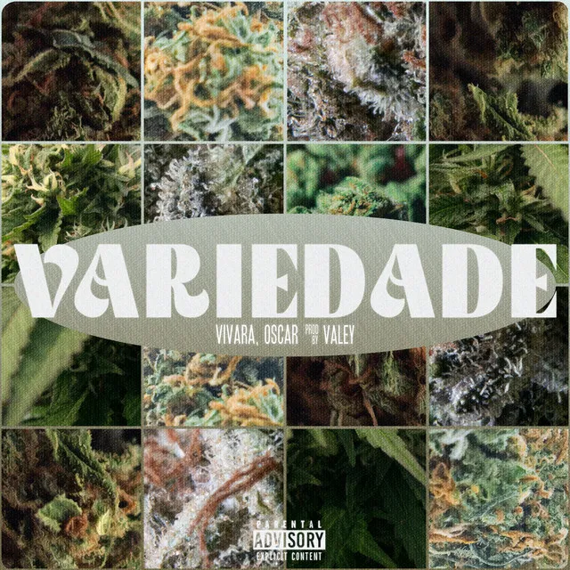 Variedade