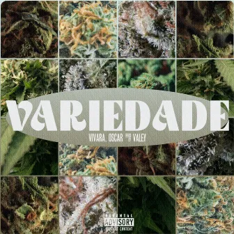 Variedade by Oscar