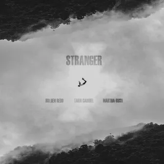 Stranger by Tara Gabriel