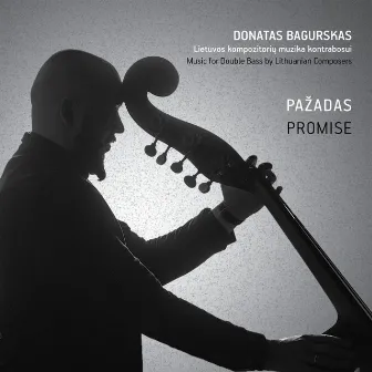 Pažadas. Lietuvos Kompozitorių Muzika Kontrabosui by Donatas Bagurskas