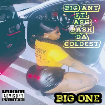 Big One by Big Ant