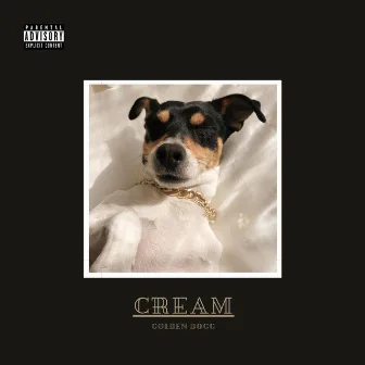 Cream by Unknown Artist