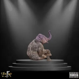 Elephants in the Room by SM Tone