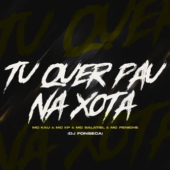 Tu Quer Pau Na Xota by DJ Fonseca