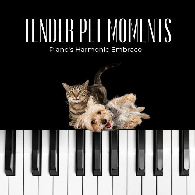 Elevated Pet Serenade: Piano's Tender Melodic Whispers