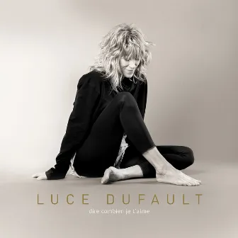 Dire combien je t'aime by Luce Dufault