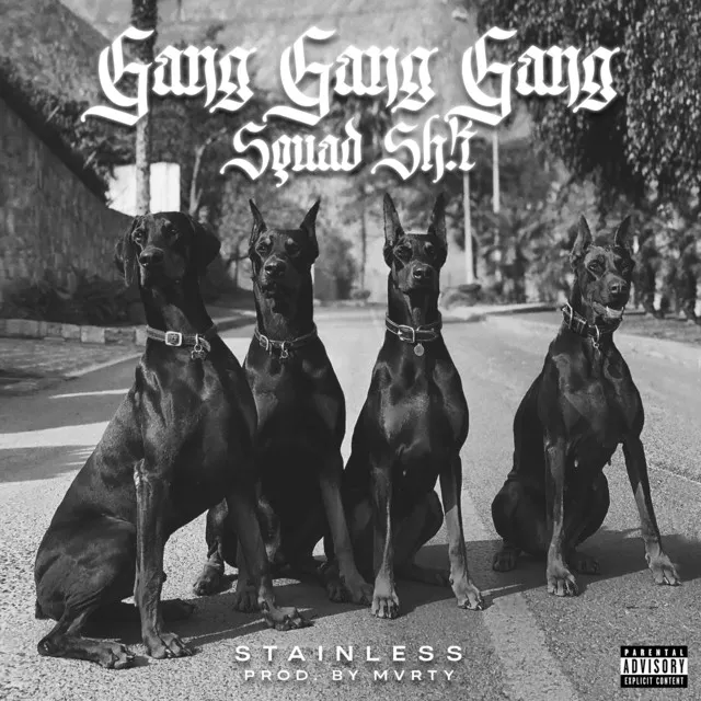 Gang Gang Gang Squad Shit (ThisOnes4MyDawgs)