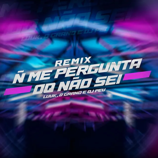 Não Me Pergunta o Que Não Sei - Remix