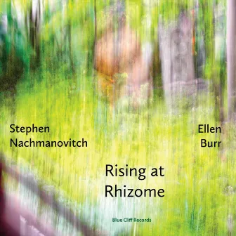 Rising at Rhizome by Stephen Nachmanovitch