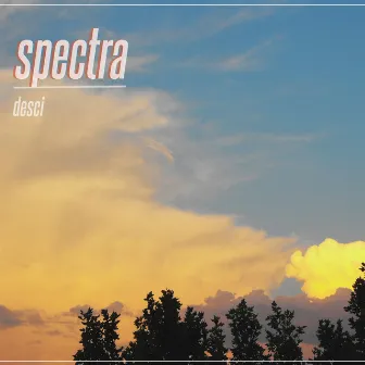 spectra by jawima