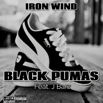 Black Pumas by Iron Wind